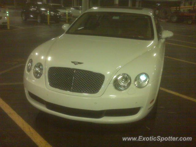 Bentley Continental spotted in Orlando, Florida