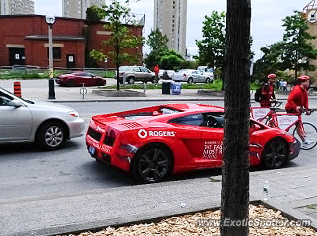 Lamborghini Gallardo spotted in Toronto, Canada