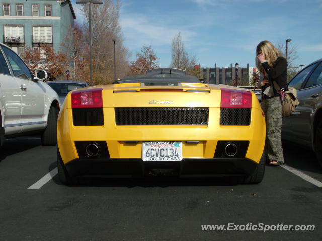 Lamborghini Gallardo spotted in San Jose, California