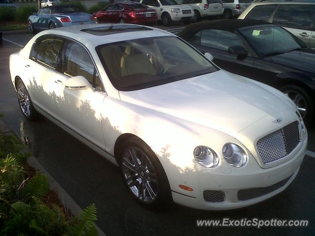 Bentley Continental spotted in Estero, Florida
