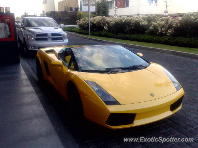 Lamborghini Gallardo spotted in Guadalajara, Mexico
