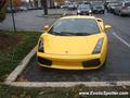 Lamborghini Gallardo