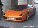Lamborghini Gallardo
