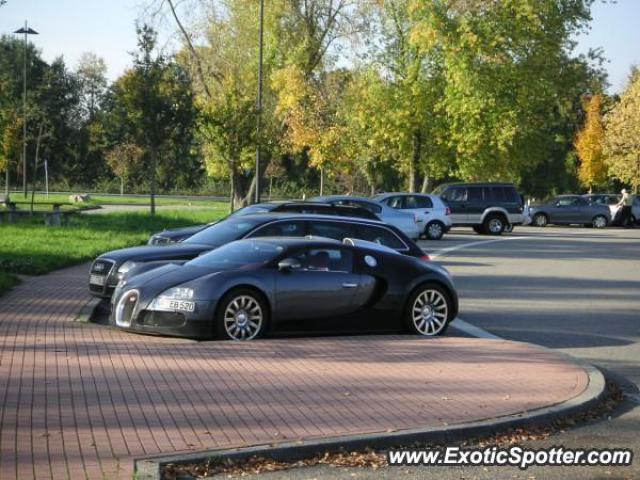 Bugatti Veyron spotted in Hessen, Germany
