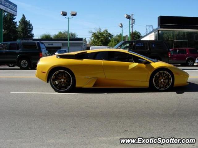 Lamborghini Murcielago spotted in Sherman Oaks, California