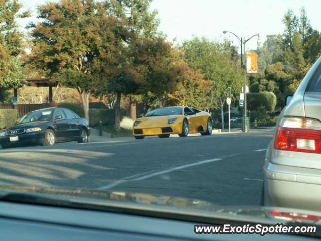 Lamborghini Murcielago spotted in Los Gatos, California