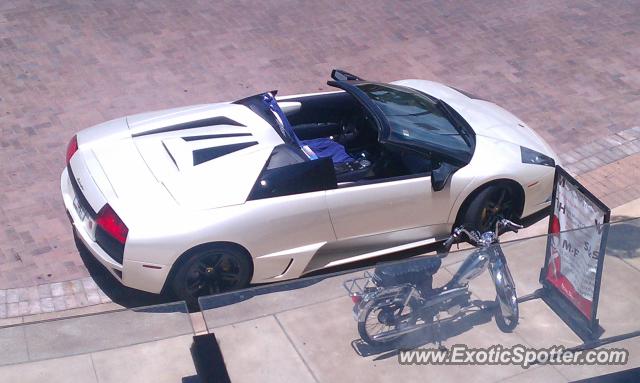 Lamborghini Murcielago spotted in Naples, Florida