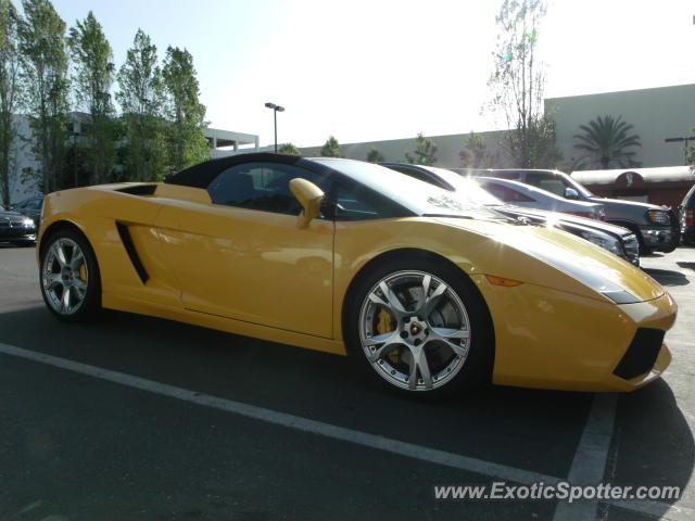 Lamborghini Gallardo spotted in San Jose, California