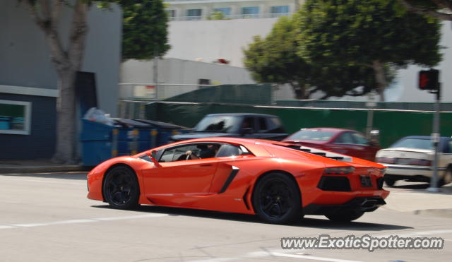 Lamborghini Aventador spotted in Beverly Hills, California
