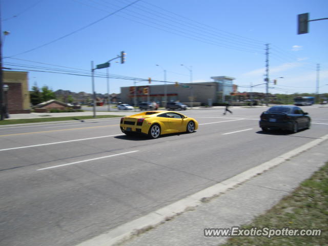 Lamborghini Gallardo spotted in Vaughan, Canada