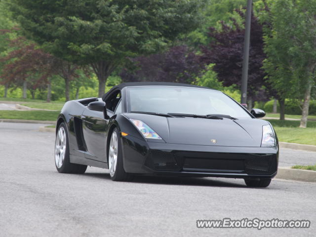 Lamborghini Gallardo spotted in Franklin, Tennessee
