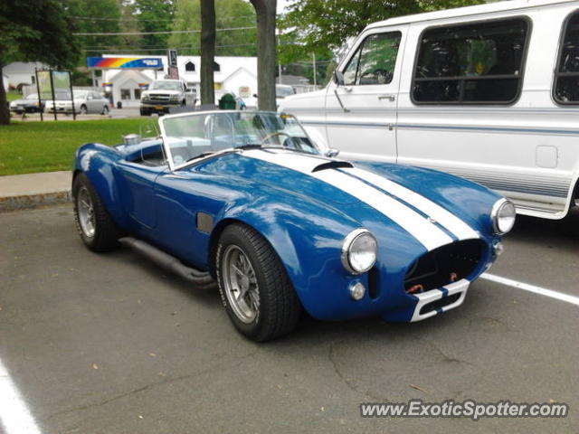 Shelby Cobra spotted in Sodus point, New York