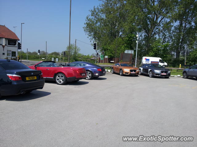 Bentley Continental spotted in Hatton derby, United Kingdom