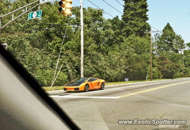Lamborghini Gallardo spotted in Ocean, New Jersey