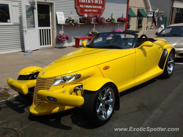Plymouth Prowler spotted in Sodus Point, New York