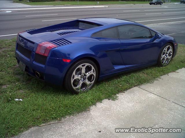 Lamborghini Gallardo spotted in Tampa, Florida