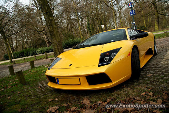 Lamborghini Murcielago spotted in Rotterdam, Netherlands