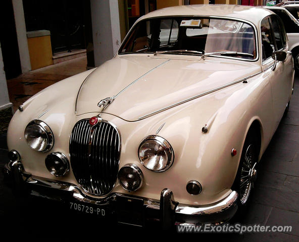 Jaguar E-Type spotted in Motta di Livenza, Italy