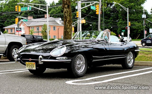 Jaguar E-Type spotted in Red Bank, New Jersey