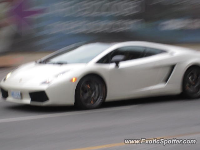 Lamborghini Gallardo spotted in Toronto, Canada