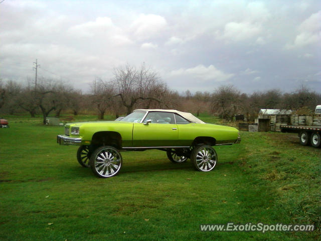 Other Vintage spotted in Sodus, New York