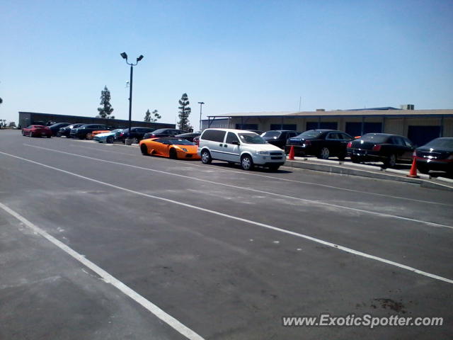 Lamborghini Murcielago spotted in Riverside, California