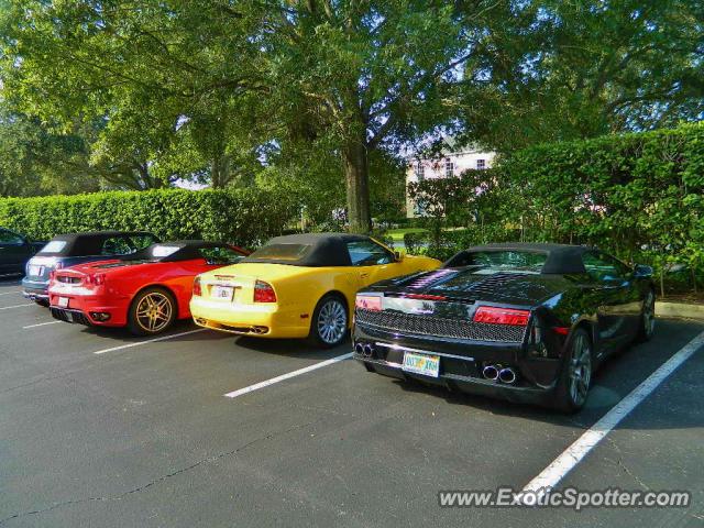 Lamborghini Gallardo spotted in Celebration, Florida