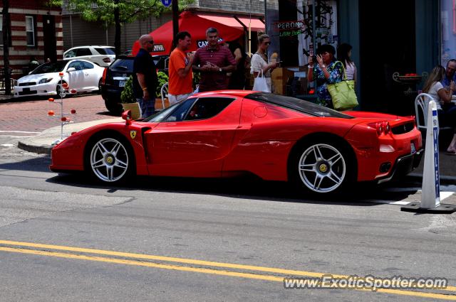 Ferrari Enzo spotted in Little Italy, Ohio