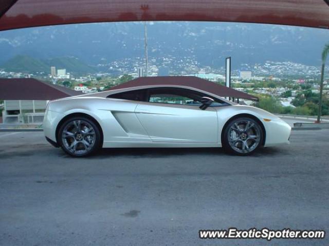 Lamborghini Gallardo spotted in Monterrey, Mexico