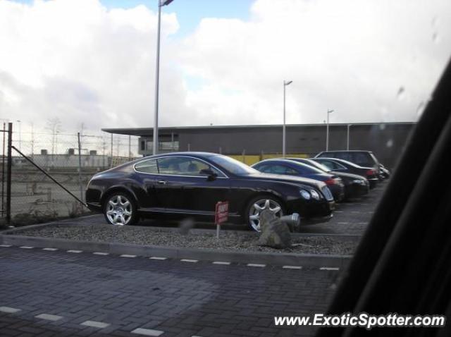 Bentley Continental spotted in Nieuwegein, Netherlands
