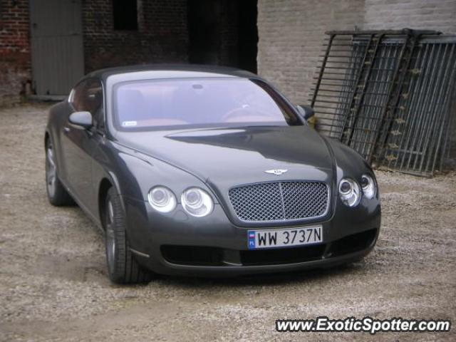 Bentley Continental spotted in Oudenaarde, Belgium