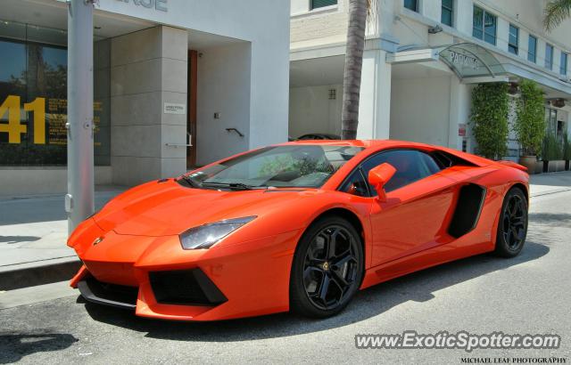 Lamborghini Aventador spotted in Beverly Hills, California