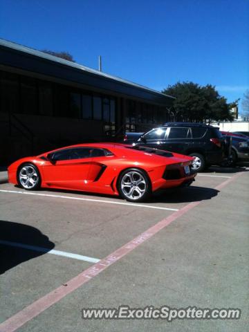Lamborghini Aventador spotted in Dallas, Texas