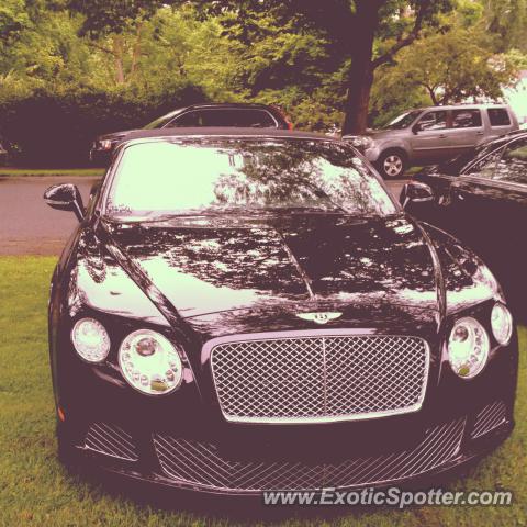 Bentley Continental spotted in Deerfield, Massachusetts