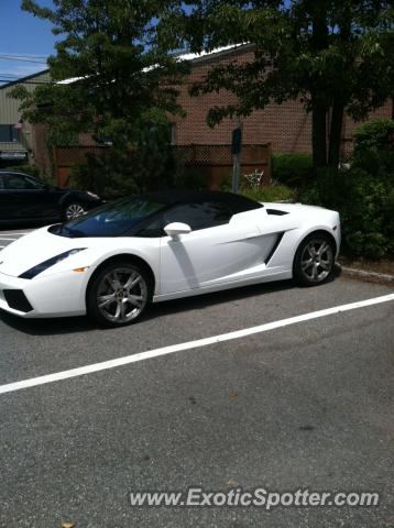 Lamborghini Gallardo spotted in Waltham, Massachusetts