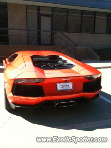 Lamborghini Aventador spotted in Dallas, Texas