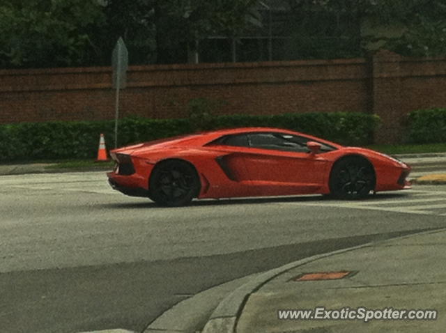Lamborghini Aventador spotted in Clearwater, Florida