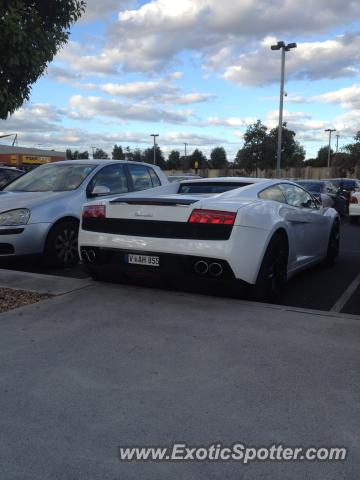 Lamborghini Gallardo spotted in Melbourne, Australia