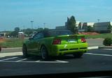 Saleen S281