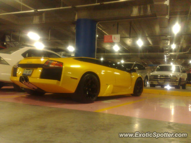 Lamborghini Murcielago spotted in Guadalajara, Mexico