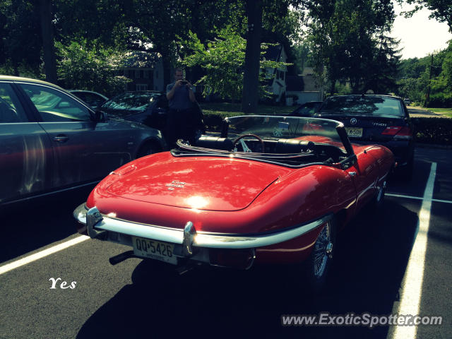 Jaguar E-Type spotted in Glen Ridge, New Jersey