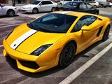 Lamborghini Gallardo