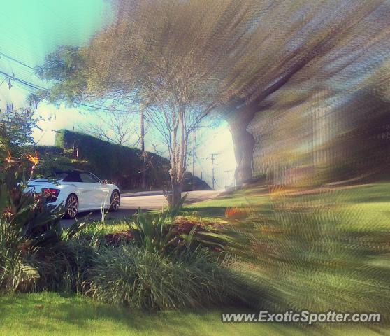 Audi R8 spotted in Sao Paulo, Brazil