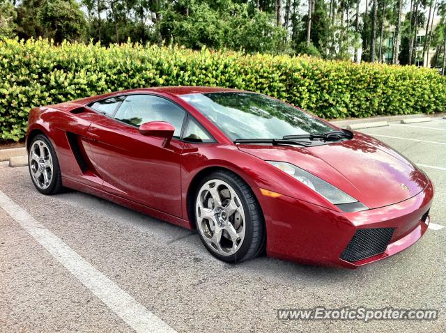 Lamborghini Gallardo spotted in Naples, Florida