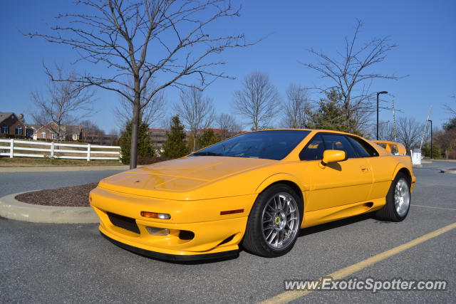 Lotus Esprit spotted in Wilmington, Delaware
