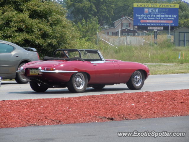 Jaguar E-Type spotted in Millville, Delaware