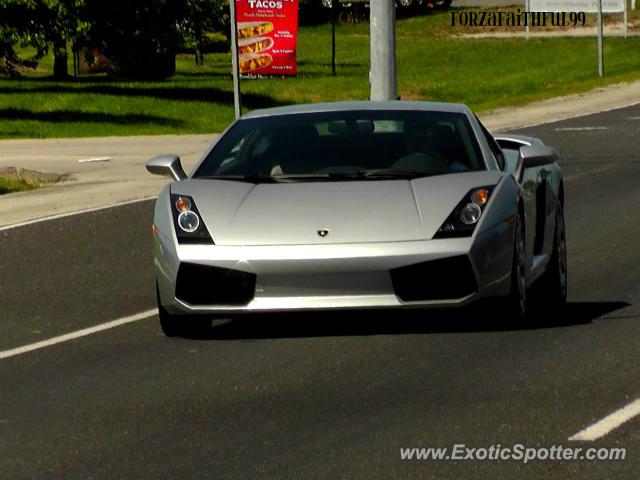 Lamborghini Gallardo spotted in Indianapolis, Indiana