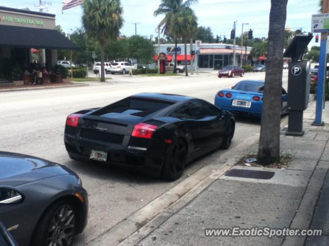 Lamborghini Gallardo spotted in Fort Lauderdale, Florida