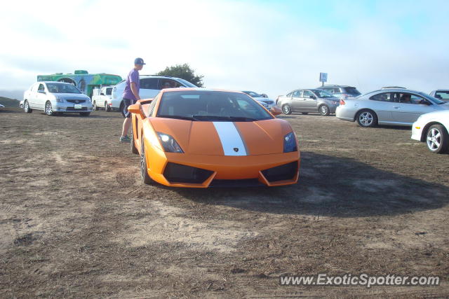 Lamborghini Gallardo spotted in Monterey, California