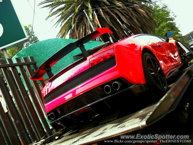 Lamborghini Gallardo spotted in Ciudad de México, Mexico